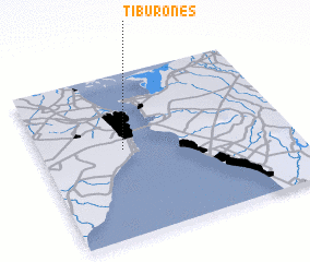 3d view of Tiburones