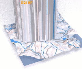 3d view of Palme