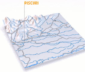 3d view of Piscurí