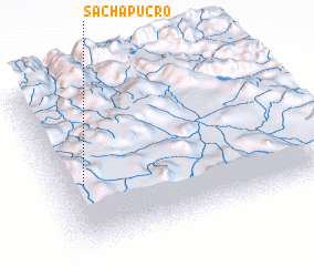 3d view of Sachapucro