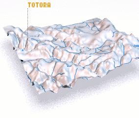 3d view of Totora