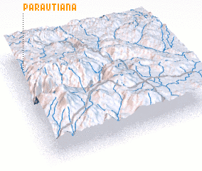 3d view of Parautiana