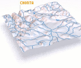 3d view of Chonta