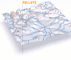 3d view of Pallate