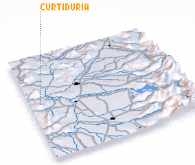 3d view of Curtiduría