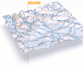 3d view of Aniuma