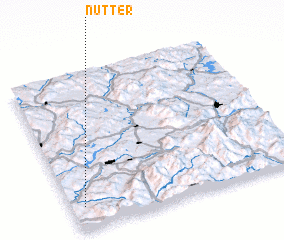 3d view of Nutter