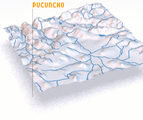 3d view of Pucuncho