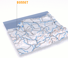 3d view of Bonnet