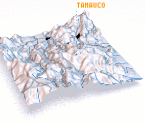 3d view of Támauco
