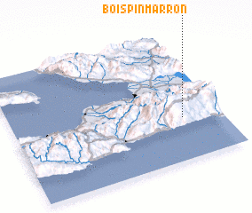 3d view of Bois Pin Marron