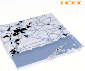 3d view of Pine Grove