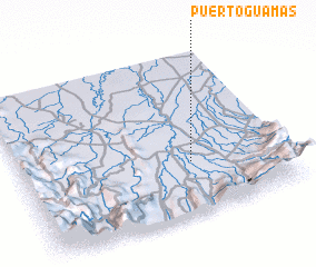 3d view of Puerto Guamas