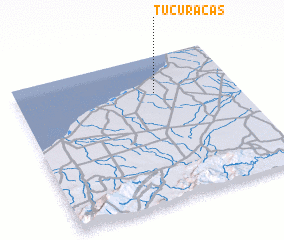 3d view of Tucuracas