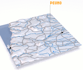 3d view of Peumo