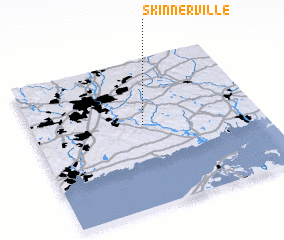 3d view of Skinnerville