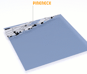 3d view of Pine Neck