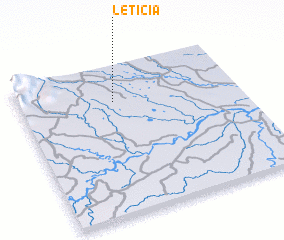 3d view of Leticia