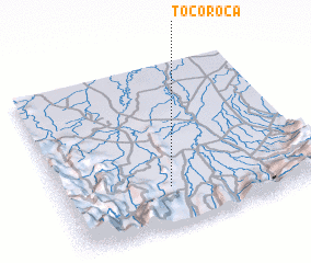 3d view of Tocoroca