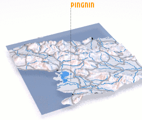 3d view of Pingnin