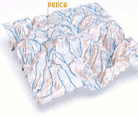 3d view of Perca