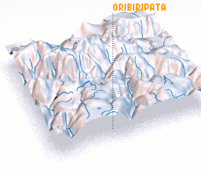 3d view of Oribiripata