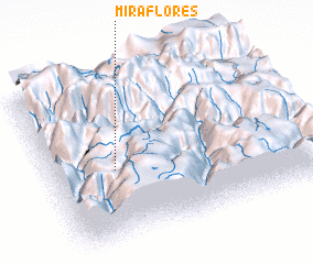 3d view of Miraflores