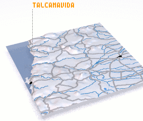 3d view of Talcamávida