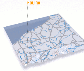 3d view of Molino