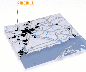 3d view of Pine Hill