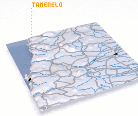 3d view of Tameñelo