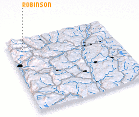 3d view of Robinson