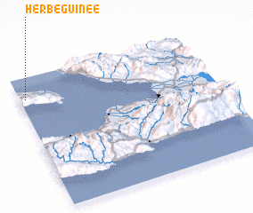 3d view of Herbe Guinée