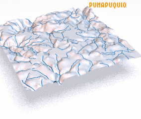 3d view of Pumapuquio