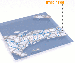 3d view of Hyacinthe