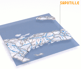 3d view of Sapotille