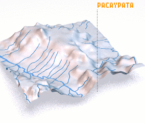 3d view of Pacaypata