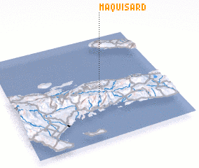 3d view of Maquisard