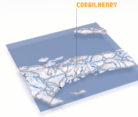 3d view of Corail Henry