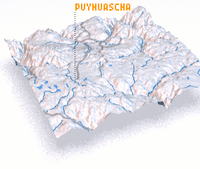 3d view of Puyhuascha