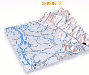 3d view of Sabaneta