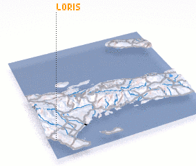 3d view of Loris