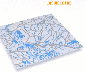 3d view of Las Violetas