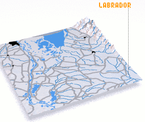 3d view of Labrador