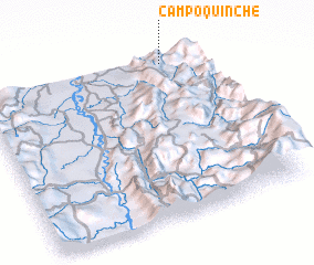 3d view of Campo Quinche