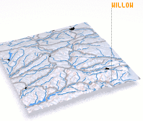 3d view of Willow