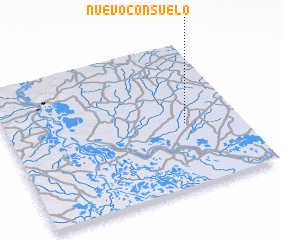 3d view of Nuevo Consuelo