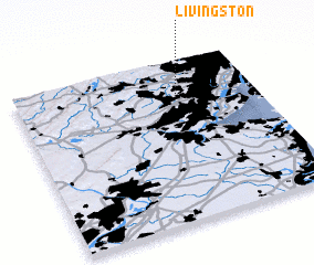 3d view of Livingston