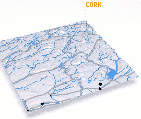 3d view of Cork