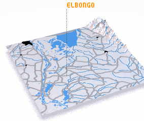 3d view of El Bongo